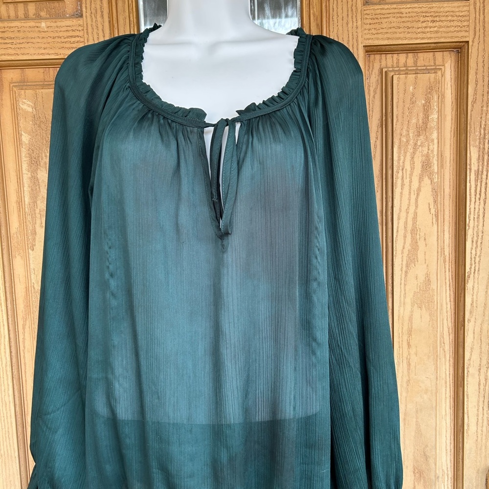 💚3/$25 Cato Dark Green Sheer Blouse with Ruffle Neckline 18/20